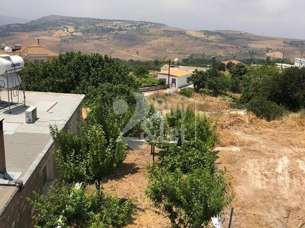 3 bedroom detached house for sale ineia paphos 1709101 image 12584336