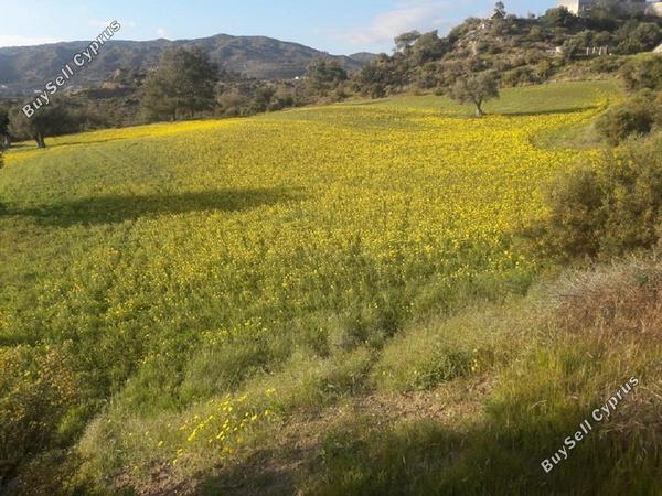 land for sale monagroulli limassol 682101 image 406949