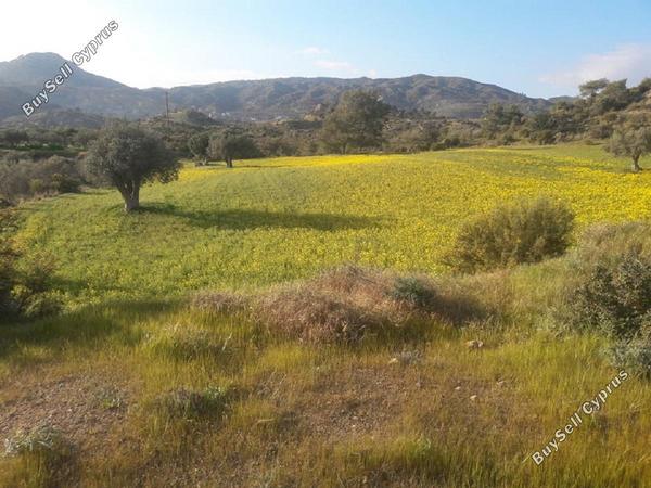 land for sale monagroulli limassol 682101 image 406952