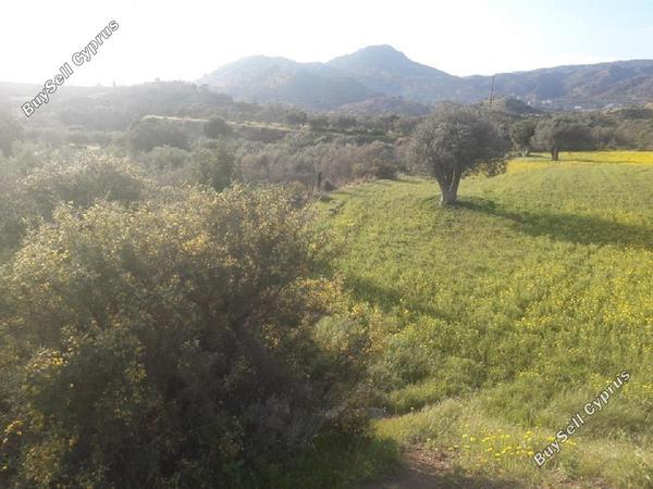land for sale monagroulli limassol 682101 image 406953