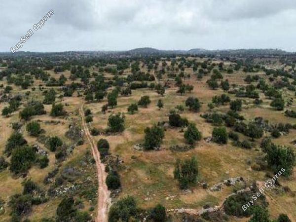 land for sale pachna limassol 8269101 image 13957626