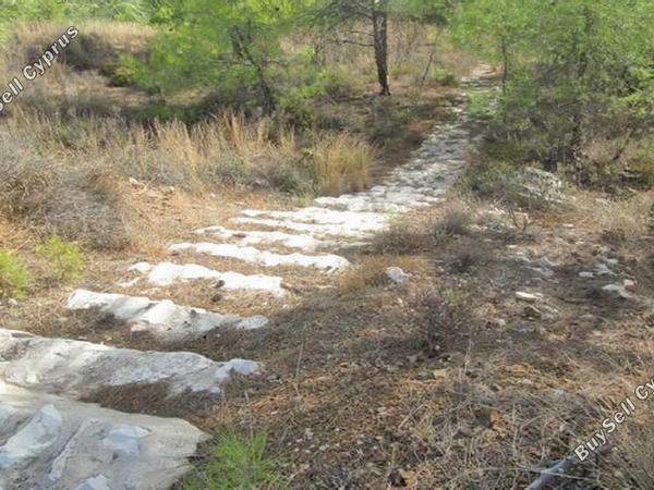 plot for sale kornos larnaca 831101 image 13826751