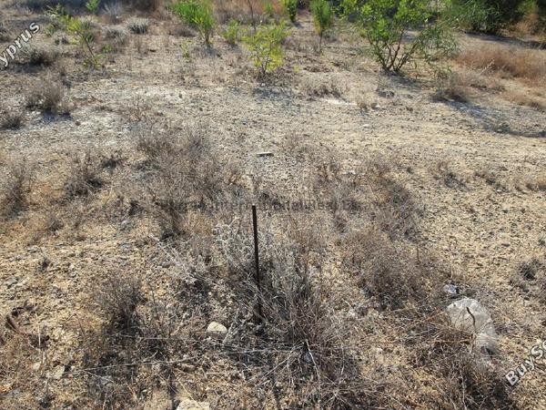 plot for sale ormideia larnaca 7543101 image 9478881