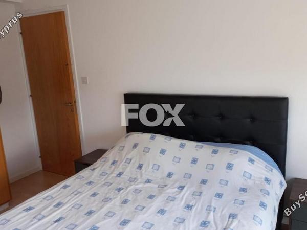 3 bedroom detached house for rent anavargos paphos 8908201 image 17399210