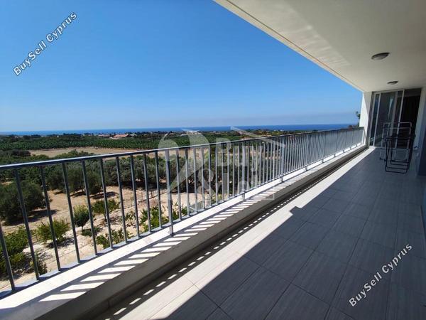 4 bedroom detached house for rent coral bay paphos 8914201 image 17542048