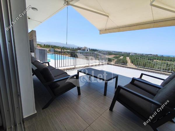 4 bedroom detached house for rent coral bay paphos 8914201 image 17542068