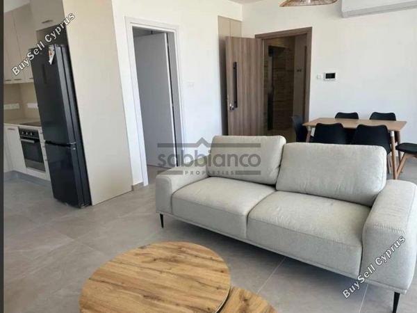 5 bedroom apartment for rent strovolos nicosia 8740201 image 16379179