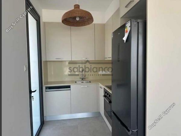 5 bedroom apartment for rent strovolos nicosia 8740201 image 16379182