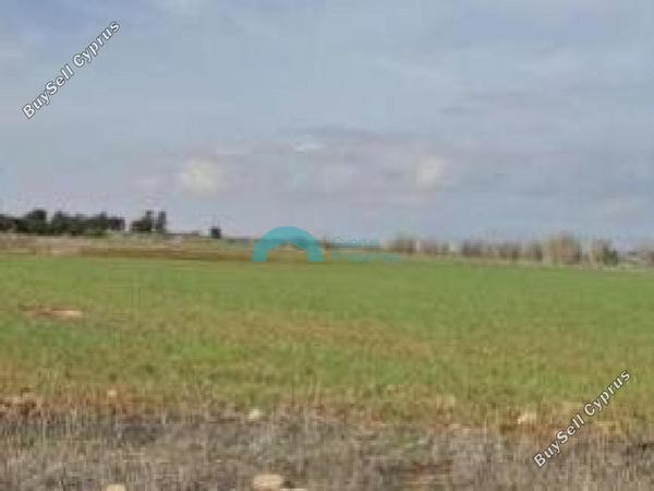 land for sale frenaros famagusta 8804201 image 16777807