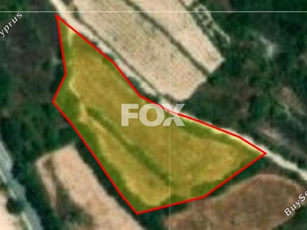 land for sale kathikas paphos 1160201 image 5538335