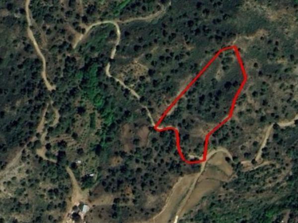 land for sale kato platres limassol 8399201 image 14835476