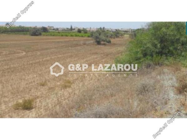 land for sale mazotos larnaca 1688201 image 14152486