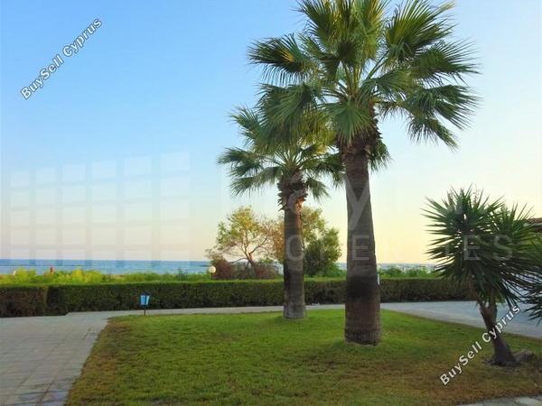 2 bedroom apartment for rent dekeleia larnaca 8810301 image 16831614