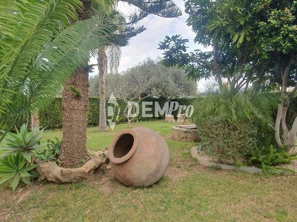 4 bedroom detached house for rent mesogi paphos 8180301 image 13737641