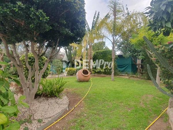 4 bedroom detached house for rent mesogi paphos 8180301 image 13737661