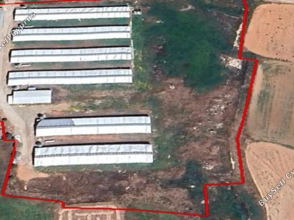 land for sale agioi trimithias nicosia 1769301 image 16159592