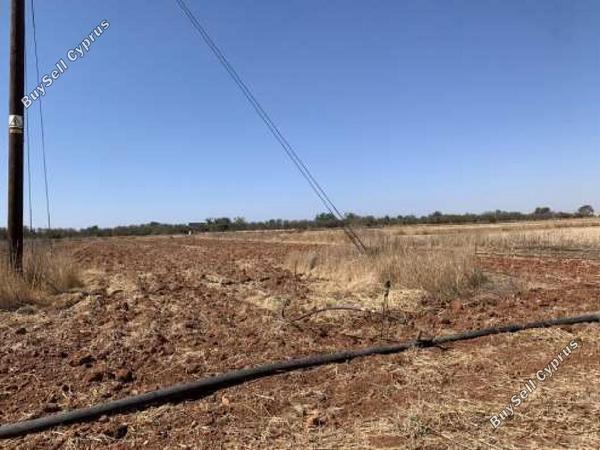 land for sale frenaros famagusta 1336301 image 15599629