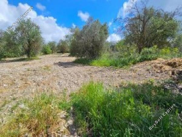 land for sale drynia paphos 7839401 image 15596562
