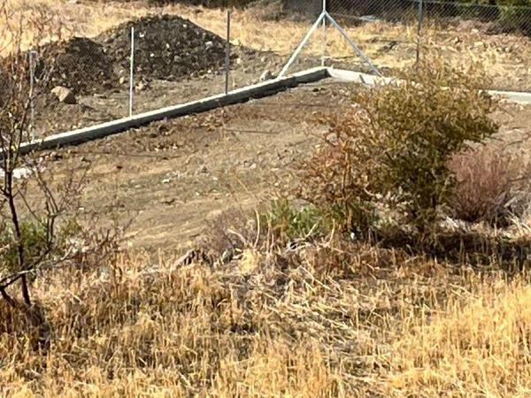 plot for sale monagroulli limassol 8791401 image 16675146