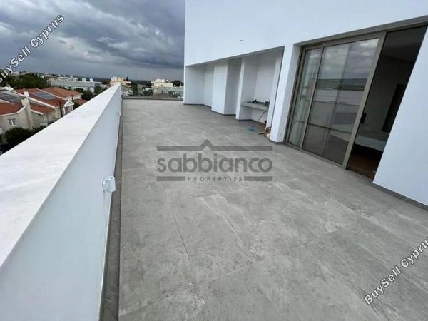 2 bedroom apartment for rent strovolos nicosia 8749501 image 16476322