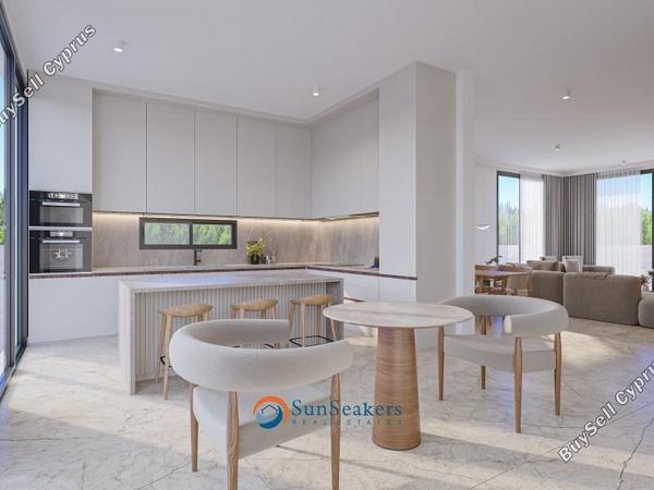 3 bedroom detached house for sale mesogi paphos 8529501 image 16404818