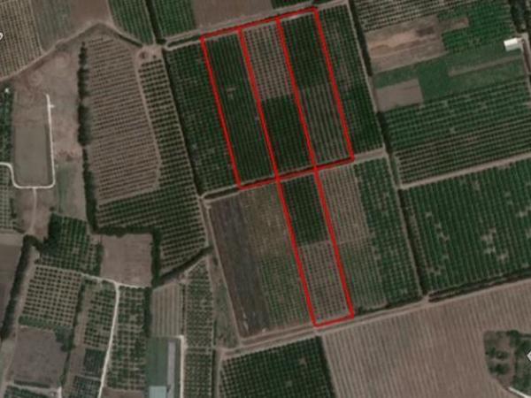land for sale akrotiri limassol 1928501 image 7560840