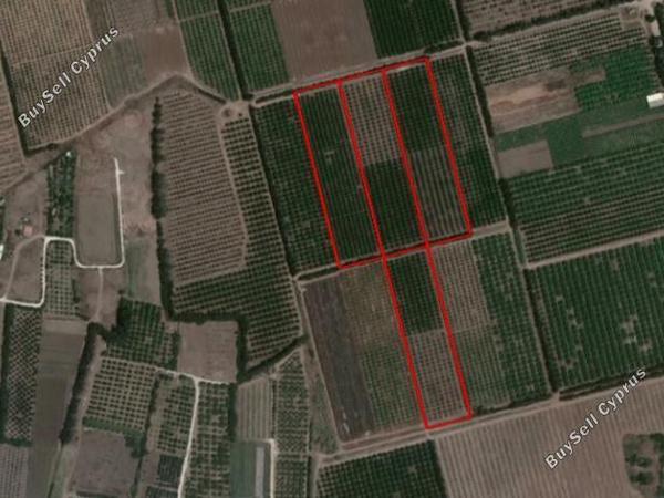 land for sale akrotiri limassol 1928501 image 7560842
