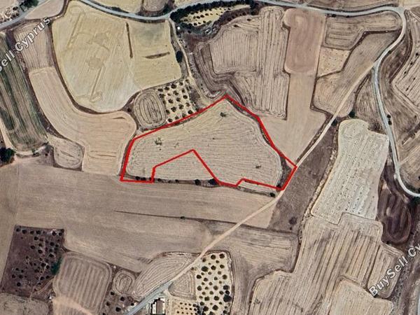 land for sale athienou larnaca 7718501 image 10101565