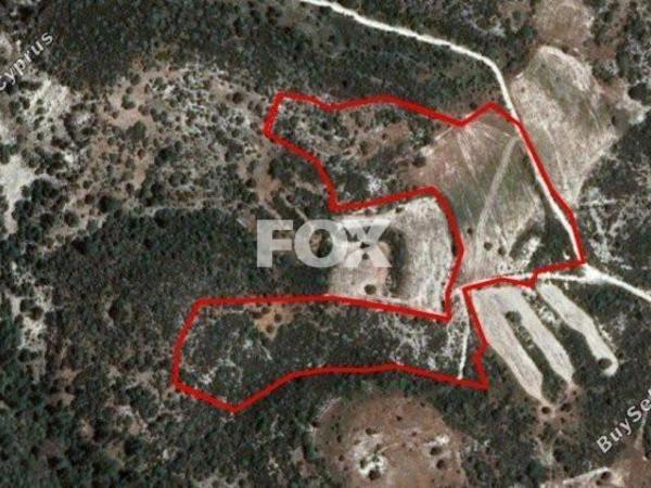 land for sale dora limassol 1159501 image 5524921