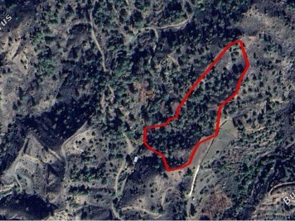 land for sale kato platres limassol 1685501 image 12634871