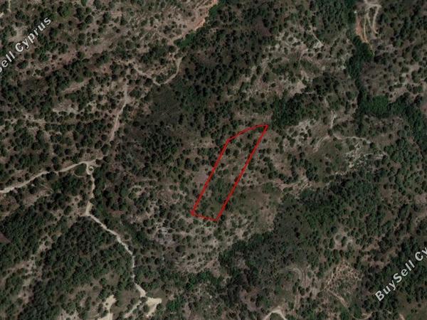 land for sale pelendri limassol 906601 image 11081983