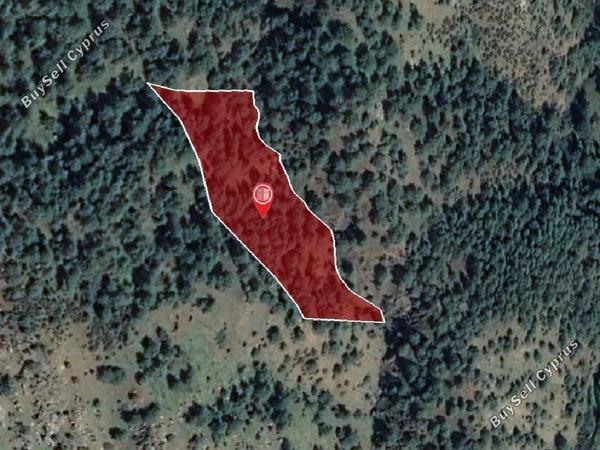 land for sale pigenia nicosia 945701 image 15600811