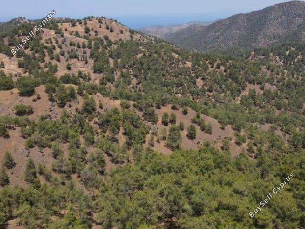 land for sale pigenia nicosia 945701 image 15600812