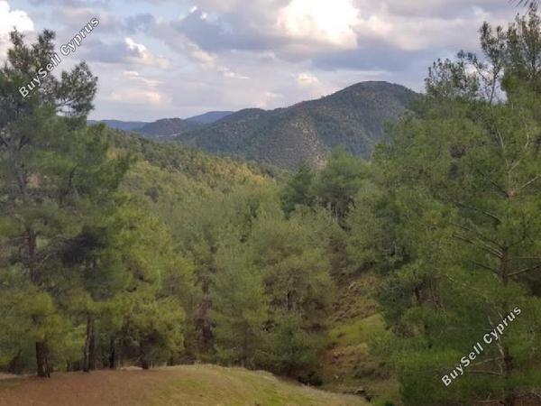 land for sale pigenia nicosia 945701 image 15600813