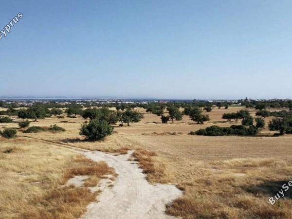 land for sale ypsonas limassol 1546701 image 5878112