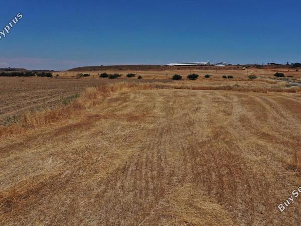 plot for sale potamia nicosia 8286801 image 16182064