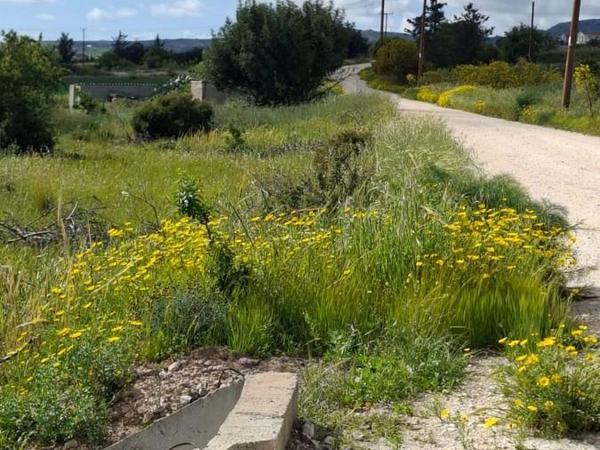 land for sale anarita paphos 7739901 image 17935532