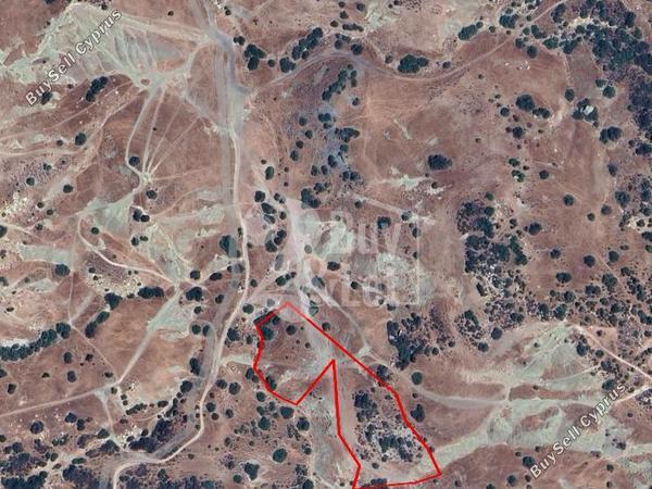 land for sale foinikaria limassol 8509901 image 15437299