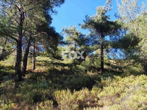 land for sale pera pedi limassol 1159901 image 5532245