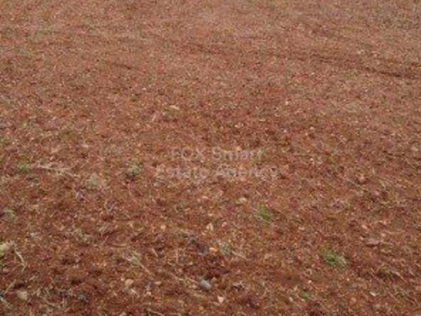 plot for sale agios theodoros larnacas larnaca 1419901 image 13966993
