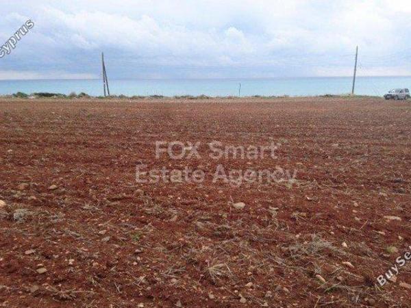plot for sale agios theodoros larnacas larnaca 1419901 image 13966994