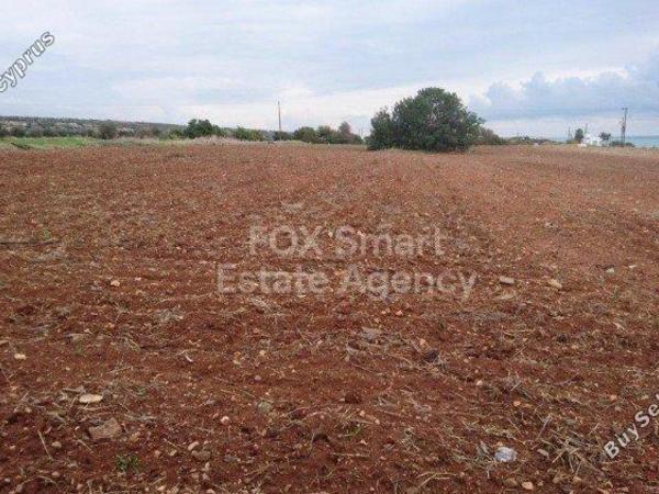 plot for sale agios theodoros larnacas larnaca 1419901 image 13966995
