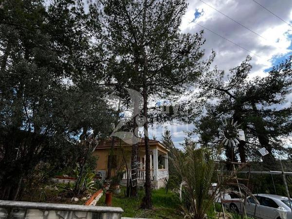 2 bedroom detached house for sale lageia larnaca 8646011 image 16312939