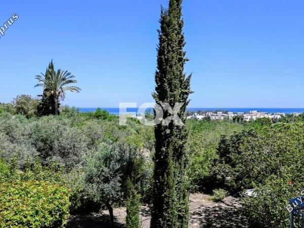 2 bedroom maisonette for sale prodromi paphos 1275011 image 5583773