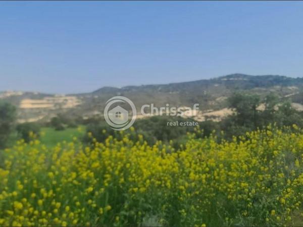 land for sale asgata limassol 1763011 image 5840625