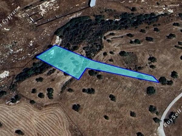land for sale avdimou limassol 1546011 image 5868910