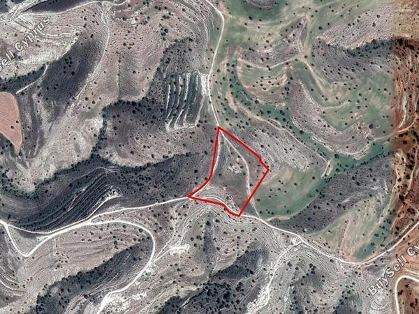 land for sale psevdas larnaca 945011 image 16545545