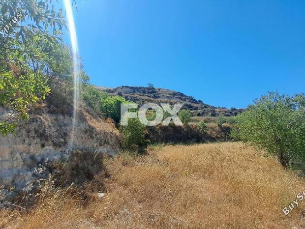 land for sale tsada paphos 7559011 image 14831309
