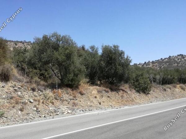land for sale skarinou larnaca 831111 image 2346688