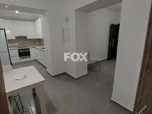 2 bedroom bungalow for rent katholiki limassol 8936211 image 17737712